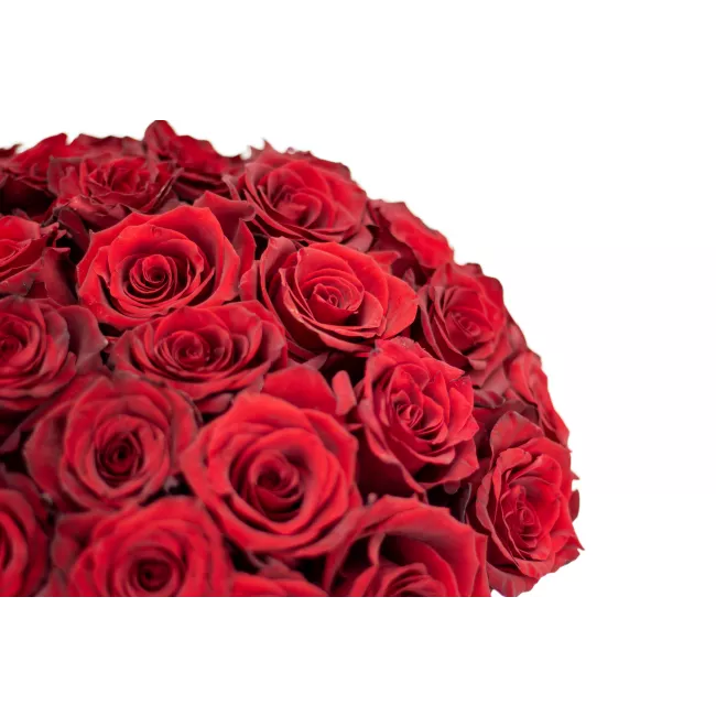 Box of red roses
